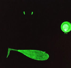 日本画家 佐藤宏三 Hidden Art「耳無し芳一」其弐 蓄光顔料にて裏彩色